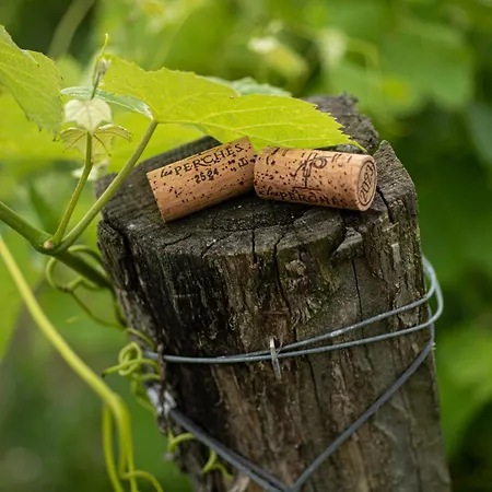 빌라 Le Des Perches *