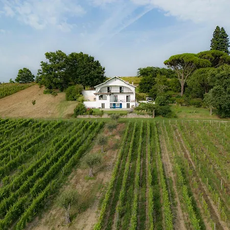 Le Des Perches * 캐딜락