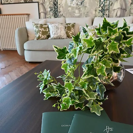 Le Des Perches * 캐딜락