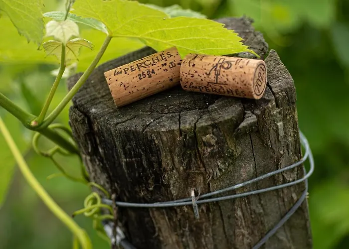 וילה Le Des Perches *