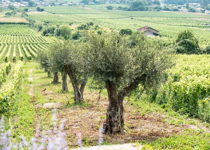 Le Des Perches * קדיאק