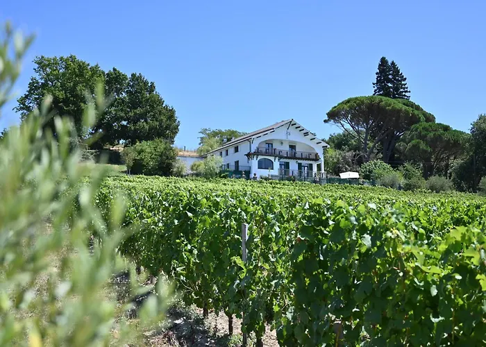 Le Des Perches וילה