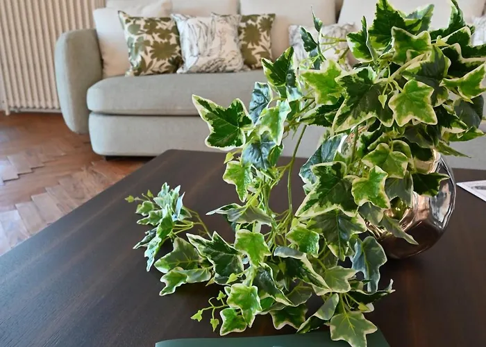 Le Des Perches * קדיאק